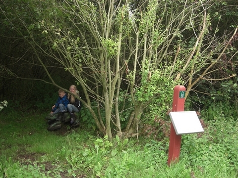 Billeder fra mosefesten