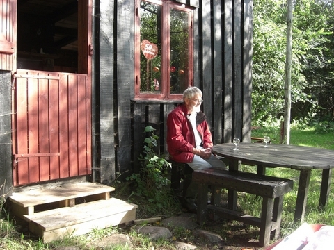 Billeder fra mosefesten