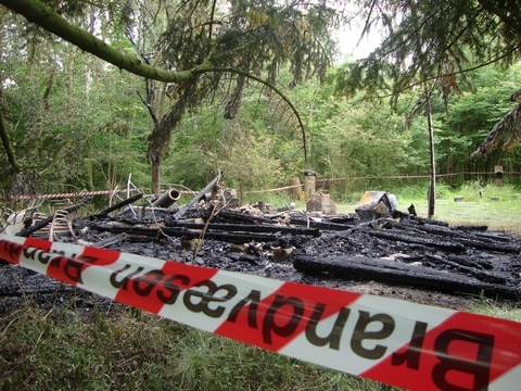 Billeder fra mosefesten